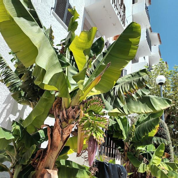 Apartamento Nora Velha T1 Tavira Exterior foto